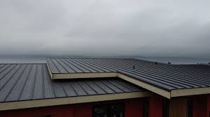 Best Rubber Roofing (EPDM, TPO)  in Roma, TX